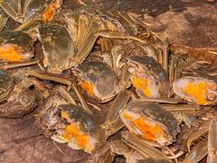 -陈胖子特色菜.鲜货现炒(融景城店)