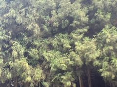 -山王坪喀斯特国家生态公园