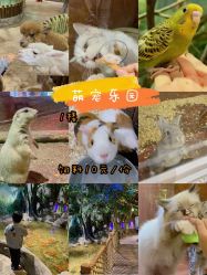 -宝燕乐园(闵行旗舰店)