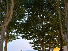 -西安电影制片厂
