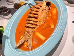 -阿五黄河大鲤鱼(英协路店)