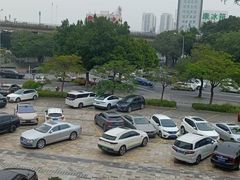 -龙悦湾酒家·八阵鱼生·渔人码头店