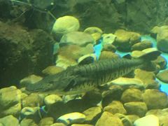 -多彩贵州城极地海洋世界