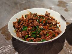 -壹盏灯(惠农店)