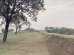 -盘龙城国家考古遗址公园