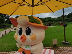 -济州森林小火车生态公园