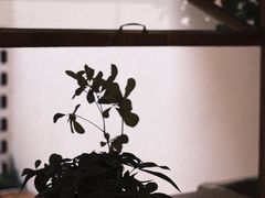 -LuluCake·路鹿蛋糕