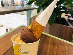 -LUNEURS月乐诗·法式冰淇淋(环贸店)