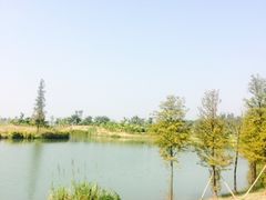 -瑶湖郊野森林公园