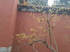 -桂满陇天书(南京德基旗舰店)