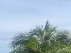 -亚龙湾喜来登·美景台大堂吧