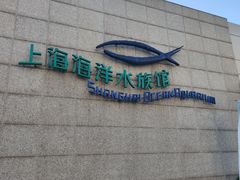 -上海海洋水族馆