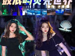 -贝壳梦幻世界