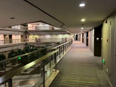 -南京禄口机场雅高铂尔曼大酒店