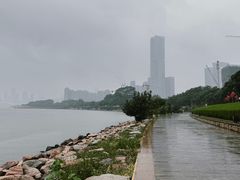 -福田红树林生态公园