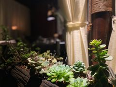 -都氏家DUSJOY(翡翠城店)