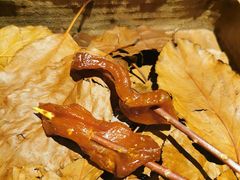 -天水蔬食料理(树德之光店)
