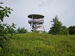 -福田红树林生态公园