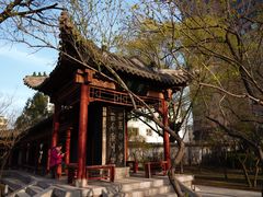 -碑林公园
