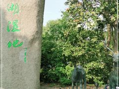 -溱湖国家湿地公园