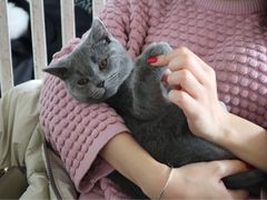 -海边的猫和咖啡馆