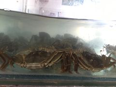 -丫丫蟹庄·苏式园林农家乐·阳澄湖大闸蟹(阳澄湖莲花岛店)