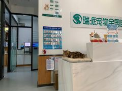-瑞派雷欧宠物医院·中兽医·眼科·急重症转诊中心(黄台店)