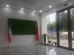 -莱可美科技美肤