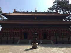 -普乐寺