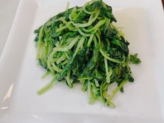 清炒鸡毛菜-19号私房菜(云南路店)