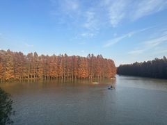 -上海海湾国家森林公园