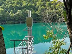 -龙坞茶村
