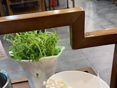 -百叶居·老北京涮羊肉(鼓楼店)