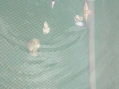 -那香海钻石沙滩浴场