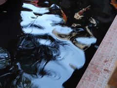 -侠成水上农庄(工业大道店)