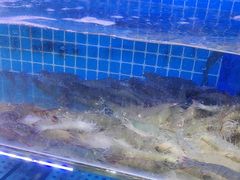 -前王院•巧克力海鲜市集餐厅(万平口店)