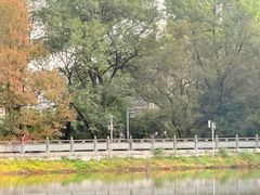 -杭州半山国家森林公园