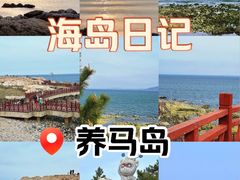 -养马岛旅游度假区