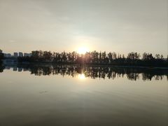 -洋湖国家湿地公园