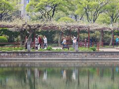 -嘉定紫藤园