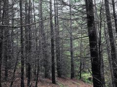 -白草畔自然风景区