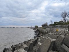 -上海滨江森林公园