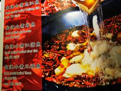 -雲蜀龙阁·金牌水煮鱼(方庄店)