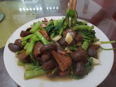 -仙店农庄