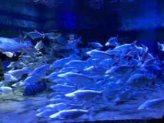 -成都浩海立方海洋公园