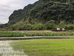 -靖西鹅泉风景区