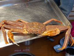 帝王蟹套餐-綱元·海鲜豆捞(明州里店)