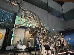 -湖南省地质博物馆