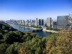 -云碧峰国家森林公园