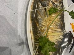 -峨嵋一派